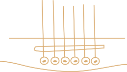 Compensated Seagull Saddle